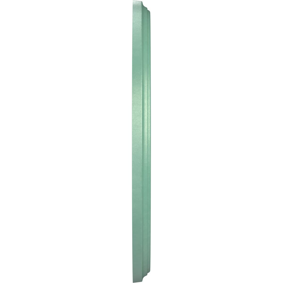 Ekena Millwork Cmp10Befsm Berkshire Thermoformed Pvc Ceiling Medallion (Fits Canopies Up To 4 1/2), 10Od X 3 1/2Id X 3/4P, Unive