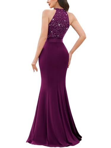 Miusol Women's Elegant Halter V-Neck Lace Sequin Pleated Formal Evening Maxi Dress