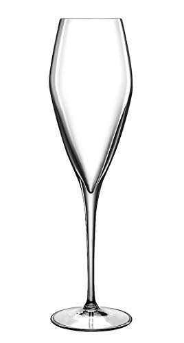 Luigi Bormioli Atelier 9.25 oz Champagne Glasses, 6 Count (Pack of 1), Clear