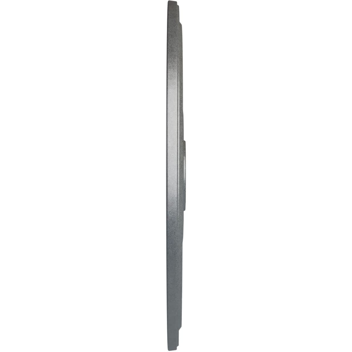 Ekena Millwork Cm24Dipls Diane Ceiling Medallion, 24Od X 3 5/8Id X 1 1/4P (Fits Canopies Up To 6 1/4), Hand-Painted Platinum