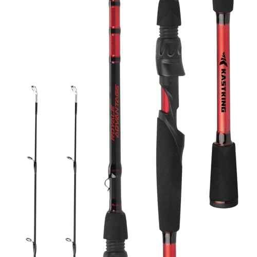 KastKing Royale Advantage Fishing Rod, Spinning Rod & Casting Rod, IM6 Graphite Blanks, 2-Pieces Rods with Extra Tip Section,KastFlex Technology, Power Transition System, EVA Handle