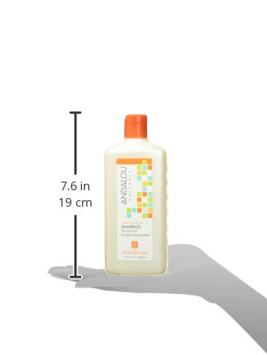 Andalou Naturals Shampoo Mstre Argan Swt Orng