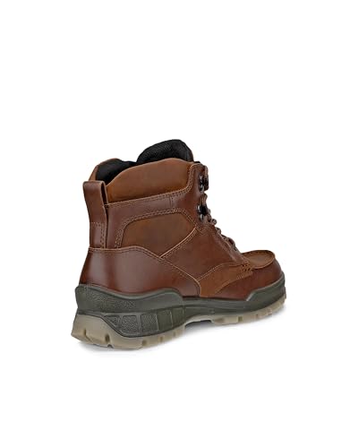 ECCO mens Track 25 High Gore-tex Waterproof Hiking Boot