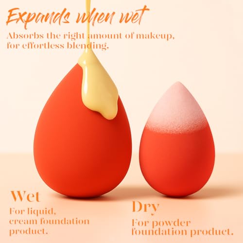 BEAKEY Makeup Sponge Set 5 Pack Micro Porous Low Absorption Soft Latex Free Foundation Beauty Sponges & Blenders for Powde...