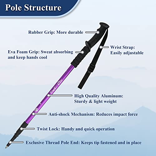 TheFitLife Nordic Walking Trekking Poles - 2 Sticks with Anti-Shock and Quick Lock System, Telescopic, Collapsible, Ultral...