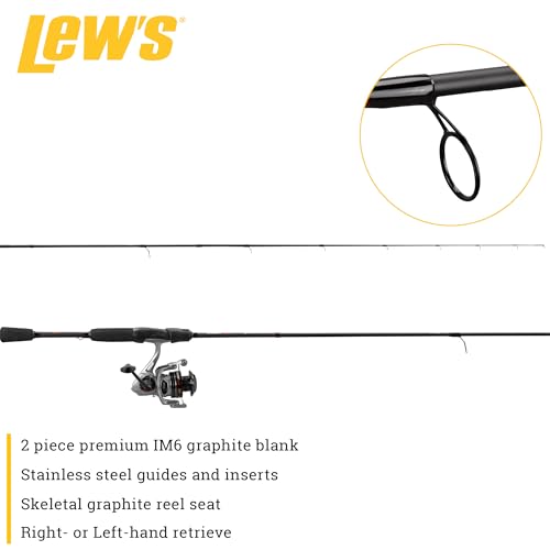 Lew's Laser LSG 30 Speed Spin