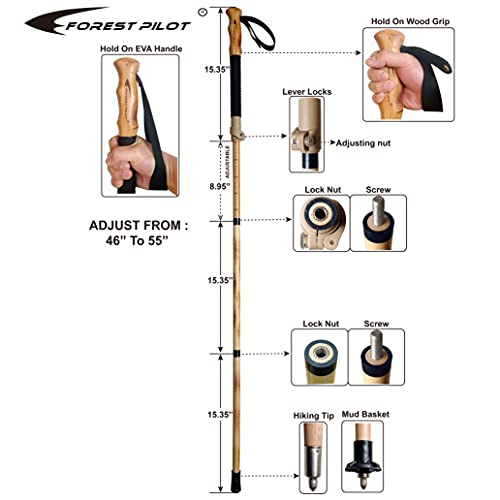 FOREST PILOT Trekking Poles- 1-pc Pack - Adjustable Hiking or Walking Stick –Strong, Natural Beech Wood - Quick Adjust Fli...