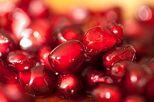 cocojojo Pomegranate Oil Pure Seed Oil Cold Pressed 8 oz Refined Skin Hair Nails Cuticles