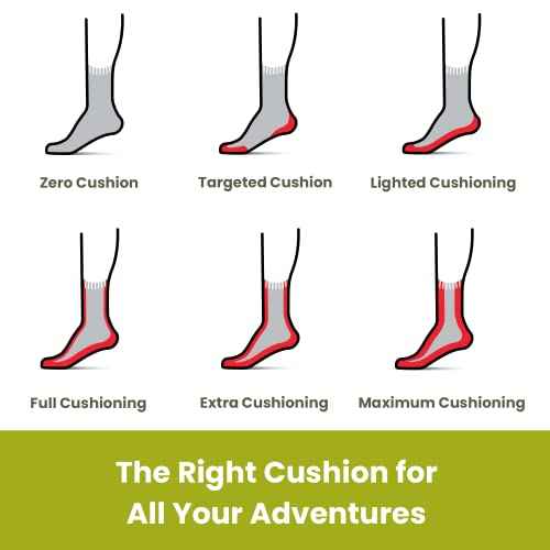 Smartwool Men's Hike Full Cushion Lolo Trail Crew Socks