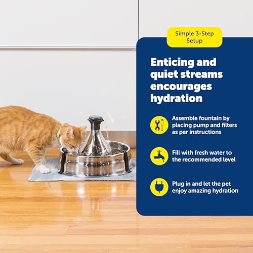 PetSafe Drinkwell Stainless Steel 360 Multiple Pet Fountain - Scratch and Rust Resistant Automatic Water Dispenser for Cat...