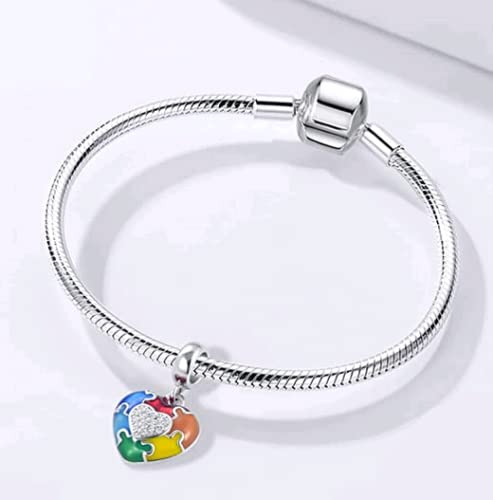 DWJSu Puzzle Piece Autism Awareness Enamel ASD Heart Bead Charms Compatible with Pandora Charm Bracelet Necklace for Women