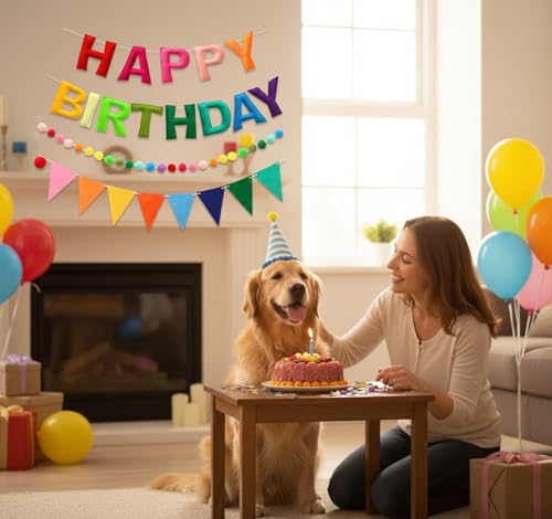 3D Happy Birthday Banner Set – Pre-Strung Reusable Rainbow Happy Birthday Decorations with Felt Ball Garland, Triangle Fla...