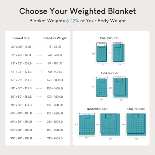 Cottonblue Weighted Blanket 15 lbs Queen Size 60x80 inches, Flannel Shaggy Sherpa Weighted Blanket for Adults Comfortable ...