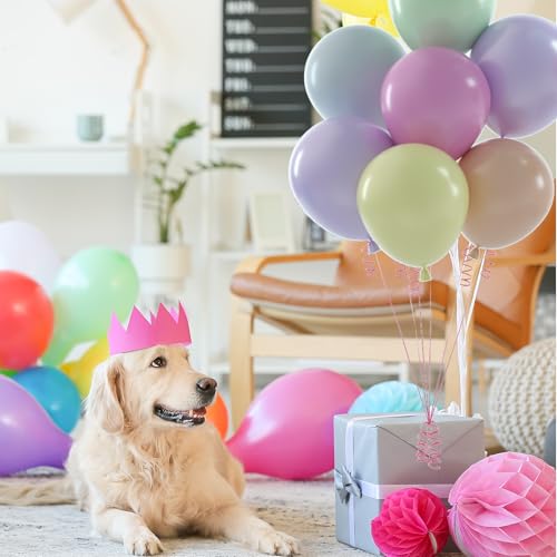 NACHLYNN 60 pcs Party Latex Balloons 12 inches Pastel Rainbow Birthday Balloons for Birthday Baby Shower Wedding Rainbow P...