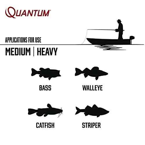 Quantum Throttle Baitcast Fishing Reel, Size 100 Reel, Right-Hand Retrieve, Lightweight Graphite Frame and Side Covers, Continuous Anti-Reverse Clutch, 7.3:1 Gear Ratio, Silver/Black