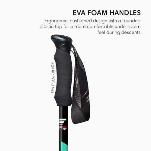 Fizan Compact 4 Trekking Poles – 6.0 oz Ultralight, Backpacking, Thru Hiking Poles, Adjustable, Collapsible, Customized Fi...