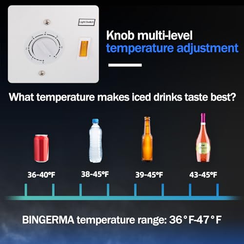 BINGERMA 6.5 Cu.Ft Commercial Beverage Refrigerator Glass Door Upright Drink Cooler Display Fridge with Adjustable Shelves...