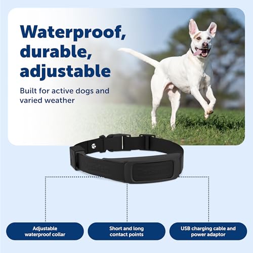 PetSafe Guardian GPS Dog Fence Add-A-Dog Collar - Add-On for Guardian GPS Fence System - AccuGuard Technology - Tone Vibra...