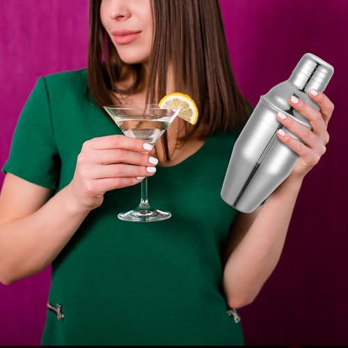 Nitial 6 Pcs Bar Cocktail Shaker Professional Stainless Steel Martini Drink Mixer with Built-in Strainer for Bartending No...