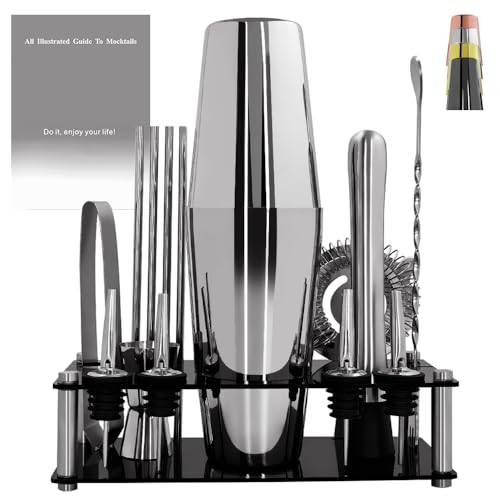 Professional Cocktail Shaker Set with Stand Cocktail Recipes, 15-Piece 750/600ml Bartender Kit, Bar Sets Bartending Kit Ba...