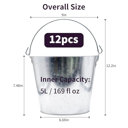 Amestar 12 Pack Metal Bucket, 5L, Silver - Galvanized Buckets with Handles for Ice Tub & Beverage Tub, Ice Buckets for Par...