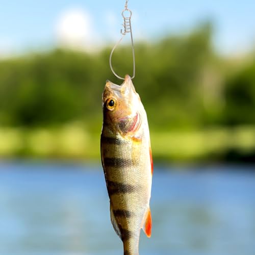BESPORTBLE Stainless Steel Fish Lock Fishing Tool Portable Live Fish Holder with Spring Lock Snap Swivels for Outdoor Fishing