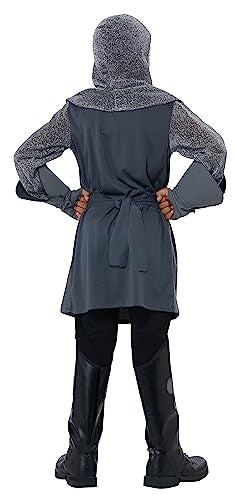 California Costumes Toys Valiant Knight