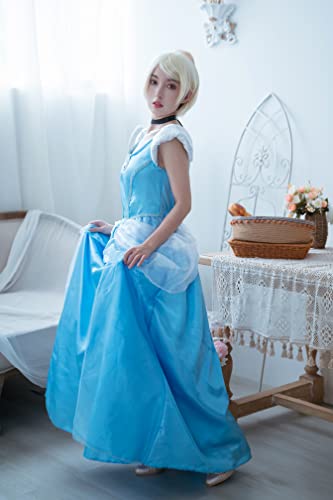 Disguise womens Cinderella Costume, Official Disney Princess Cinderella Deluxe Dress Adult Sized Costumes, Blue, Medium 8-10 US