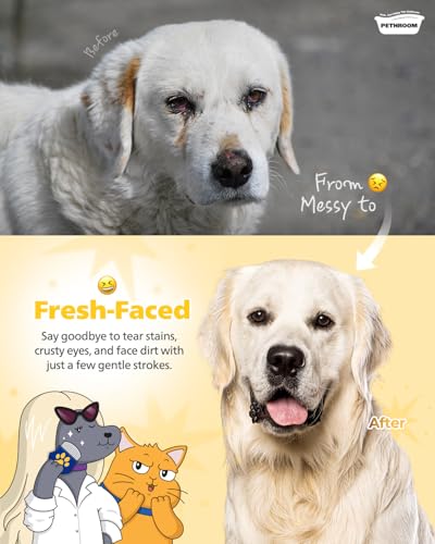 [PETHROOM] Professional Eye Comb for Pets | Stainless Steel Tear Stain Remover for Cats & Dogs | Gentle Round-Head Groomin...
