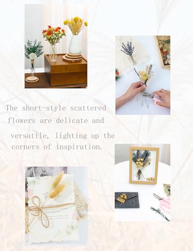 DIY Natural Dried Flower Set, Bulk Dried Flowers for Vase, Dried Flowers with Stems, Dried Roses, Mini Dried Flower Bouque...