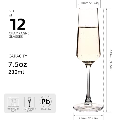 HAKEEMI Champagne Flutes - Elegant Champagne Glasses Set of 12, for Wedding, Christmas - 7.5 oz, Idea for Sparkling Wine -...