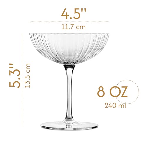 Venus Seashell Coupe Cocktail Glasses | Set of 4 | 8 oz Crystal Ribbed Champagne Saucers for Drinking P-Star and Espresso ...