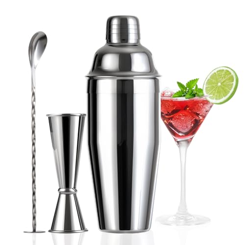 Thecosky 24oz Cocktail Shaker Set with Minimun 1/8oz Scale 1 oz 2oz Jigger - Monogramm Initials Martini Shaker Set - 304 S...