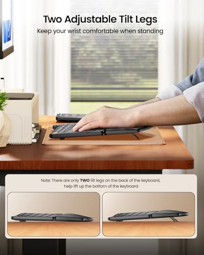 ProtoArc Wireless Ergonomic Keyboard, EK04 2.4GHz USB Wireless Ergo Keyboard with Separate Numeric Keypad, Split Design, H...