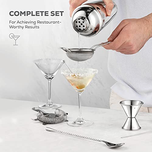 FineDine 10-Piece Cocktail Shaker Set with Travel Bag - Stainless Steel Shaker Set Bartender Kit - Mixology Bartender Kit...