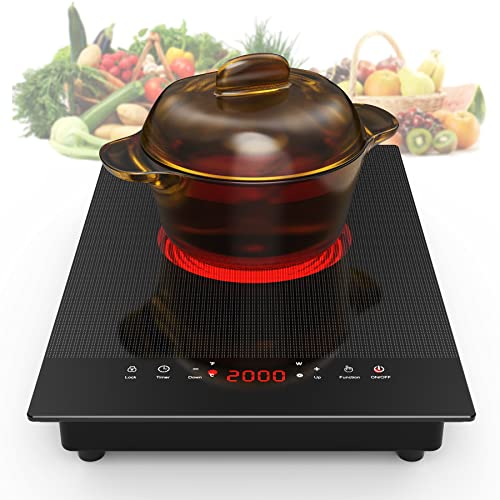VBGK Single and Double Electric Cooktop, 110V Electric Stove Top with 9 Power Levels, Kids Lock & Timer,LED Touch Control,...