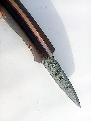 Handmade Damascus Steel Skinner Knife – Premium Survival Knife for Camping & Hiking with Beautiful Handcrafted Leather She...