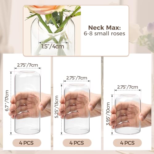 ComSaf Small Flower Vase Set of 12, Glass Bud Vases in Bulk, Clear Vases for Flower, Decor Centerpiece for Bathroom, Decor...