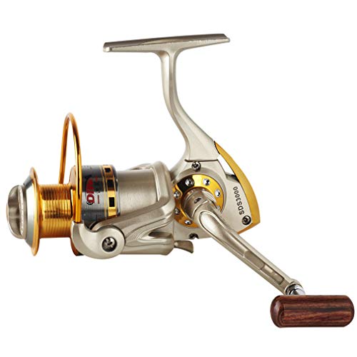 Diwa Spinning Fishing Reels for Saltwater Freshwater 1000 2000 3000 4000 5000 6000 Series Fishing Spool Left/Right Interch...