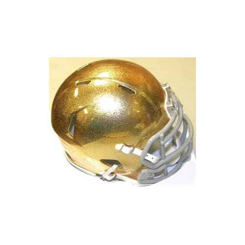 Notre Dame Fighting Irish GOLD HYDROFX Riddell NCAA Replica Revolution SPEED Mini Helmet (S)