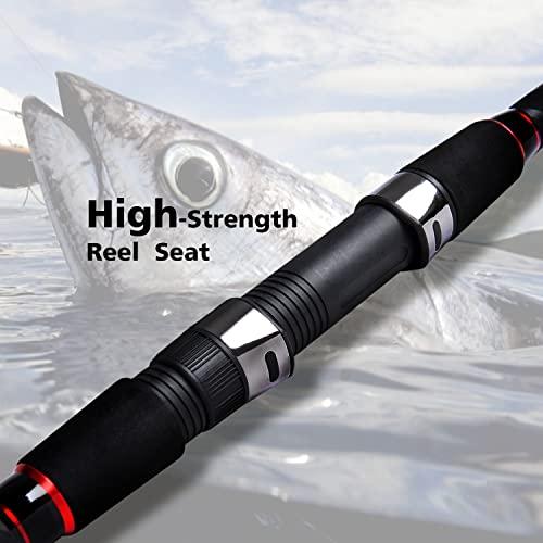 Fiblink Surf Spinning Fishing Rod 2-Piece/4-Piece Graphite Travel Fishing Rod
