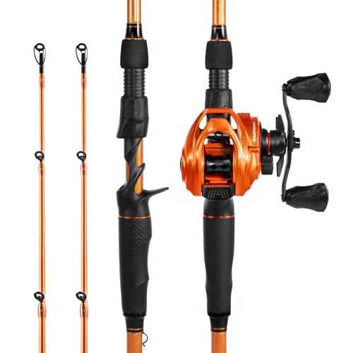 KastKing Lethal Blaze Twin-tip Fishing Rod and Reel Combo, Spinning & Baitcaster Combo, Flame Pattern Design, IM6 Graphite 2Pc Rod with Backup Tip Section, Stainless-Steel Guides, EVA Handle