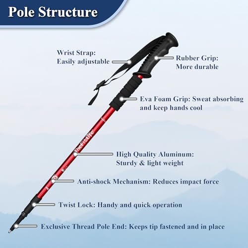 TheFitLife Nordic Walking Trekking Poles - 2 Sticks with Anti-Shock and Quick Lock System, Telescopic, Collapsible, Ultral...