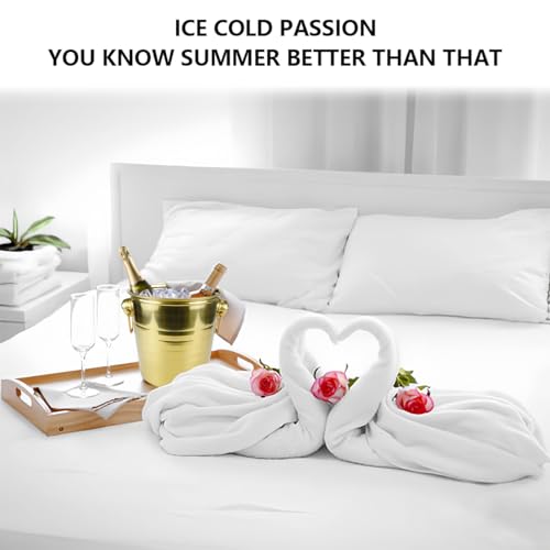 5L Metal Ice Buckets Insulated Ice Bucket Stainless Steel Ice Bucket Drink Cooler Wine Champagne Bucket for Home Restauran...