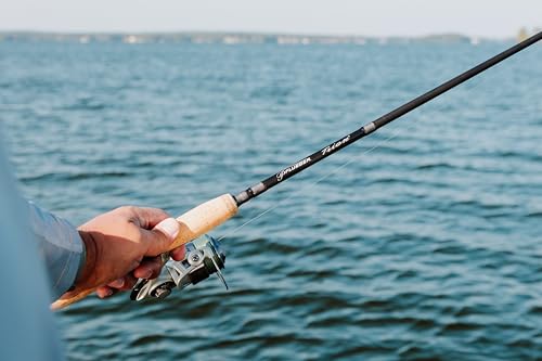 Pflueger Trion Spinning Reel and Fishing Rod Combo