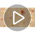 Gilprop 2 Panels White Tulle Backdrop Curtain with Lights String & 5 Pcs Artificial Hanging Flowers Garland 10×8ft Sheer B...