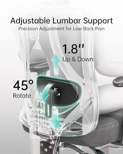 Hbada P3 Ergonnomic Office Chair with 2D Adjustable Lumbar Support, Office Chair with Adjustable Headrest and Armrest, 14...