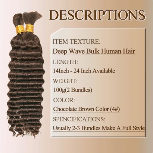 Human Braiding Hair For Braids 24 Inch 100g/2Bundles Deep Wave Bulk Human Hair For Braiding Wet And Wavy Human Hair Extensions For Braids 12A No Weft Deep Wave Bulk Human Hair Chocolate Brown