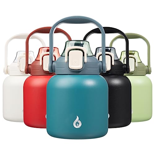 BJPKPK Insulated Water Bottles with Straw, 27 oz Cute Water Bottles with Handle, BPA Free Stainless Steel Metal Jug, Easy ...