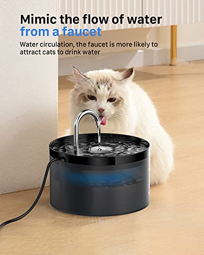 Cat Water Fountain: Dog Bowl Fountains - Automatic Pet Dispenser - Dogs Drinking Waterer Bowls Indoor - Auto Watering Dish...